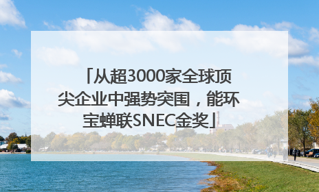 从超3000家全球顶尖企业中强势突围，能环宝蝉联SNEC金奖
