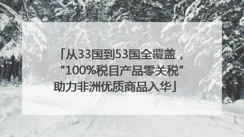 从33国到53国全覆盖，“100%税目产品零关税”助力非洲优质商品入华