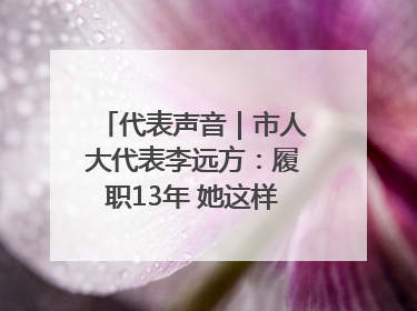 代表声音｜市人大代表李远方：履职13年 她这样“找”建议
