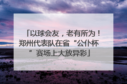 以球会友，老有所为！郑州代表队在省“公仆杯”赛场上大放异彩