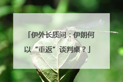伊外长质问：伊朗何以“重返”谈判桌？