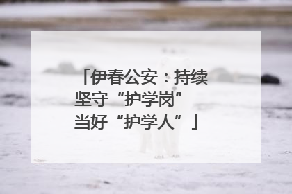 伊春公安：持续坚守“护学岗” 当好“护学人”