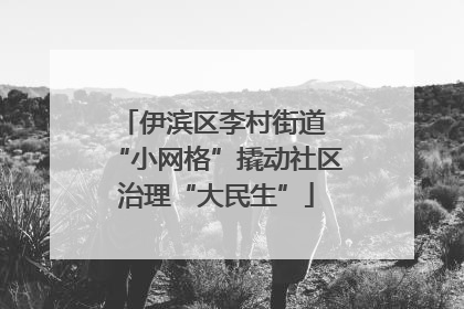伊滨区李村街道 “小网格”撬动社区治理“大民生”