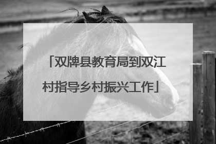 双牌县教育局到双江村指导乡村振兴工作