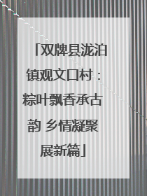 双牌县泷泊镇观文口村：粽叶飘香承古韵 乡情凝聚展新篇