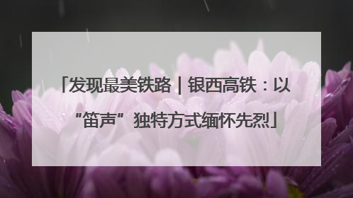 发现最美铁路｜银西高铁：以“笛声”独特方式缅怀先烈