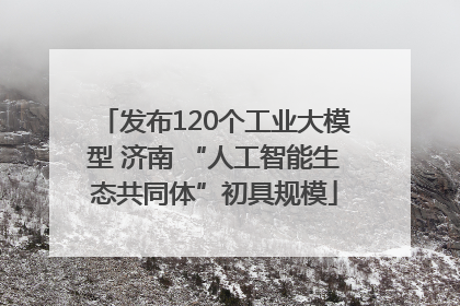 发布120个工业大模型 济南 “人工智能生态共同体”初具规模