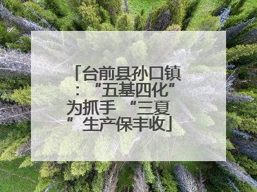 台前县孙口镇：“五基四化”为抓手 “三夏”生产保丰收