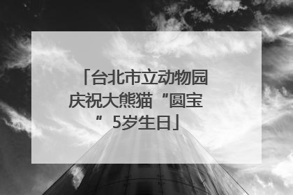台北市立动物园庆祝大熊猫“圆宝”5岁生日