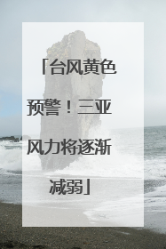 台风黄色预警！三亚风力将逐渐减弱