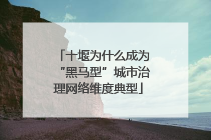 十堰为什么成为“黑马型”城市治理网络维度典型