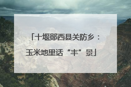 十堰郧西县关防乡：玉米地里话“丰”景