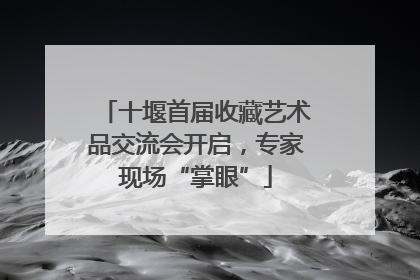 十堰首届收藏艺术品交流会开启，专家现场“掌眼”