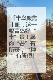半岛聚焦丨瞧，这一幅青岛好“丰”景！愿你“芒”有所获，“种”有所得