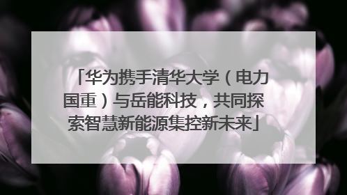 华为携手清华大学（电力国重）与岳能科技，共同探索智慧新能源集控新未来