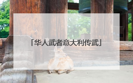华人武者意大利传武