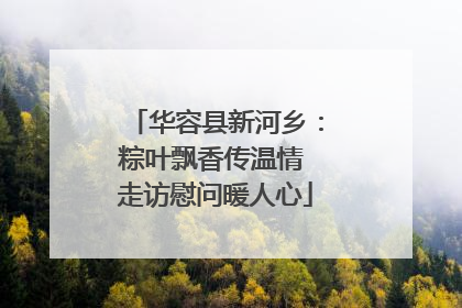 华容县新河乡：粽叶飘香传温情 走访慰问暖人心