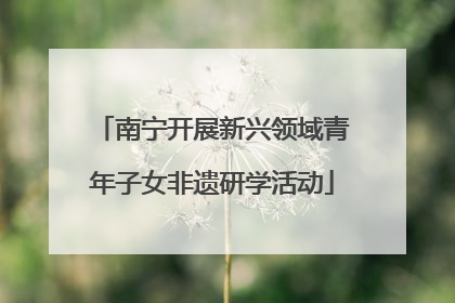 南宁开展新兴领域青年子女非遗研学活动