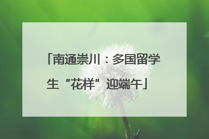南通崇川：多国留学生“花样”迎端午
