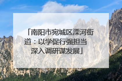 南阳市宛城区溧河街道：以学促行强担当 深入调研谋发展