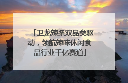 卫龙辣条双品类驱动，领航辣味休闲食品行业千亿赛道