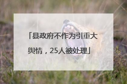 县政府不作为引重大舆情，25人被处理