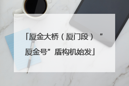 厦金大桥（厦门段）“厦金号”盾构机始发