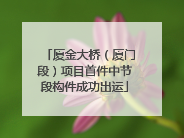 厦金大桥（厦门段）项目首件中节段构件成功出运