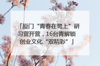 厦门“青春在鹭上”研习营开营，16台青解锁创业文化“双精彩”