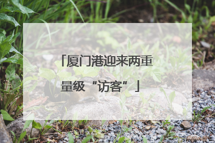 厦门港迎来两重量级“访客”