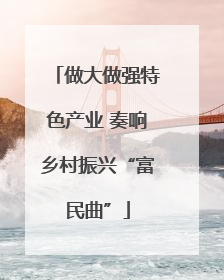 做大做强特色产业 奏响乡村振兴“富民曲”