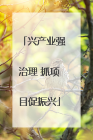 兴产业强治理 抓项目促振兴