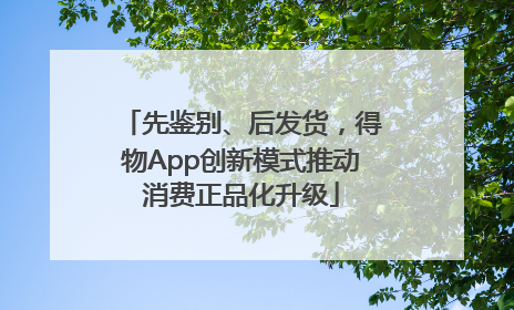 先鉴别、后发货，得物App创新模式推动消费正品化升级
