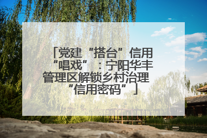 党建“搭台”信用“唱戏”：宁阳华丰管理区解锁乡村治理“信用密码”