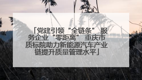 党建引领“全链条” 服务企业“零距离” 重庆市质标院助力新能源汽车产业链提升质量管理水平