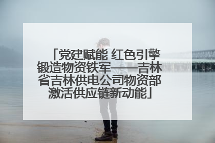 党建赋能 红色引擎锻造物资铁军——吉林省吉林供电公司物资部激活供应链新动能