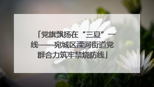 党旗飘扬在“三夏”一线——宛城区溧河街道党群合力筑牢禁烧防线