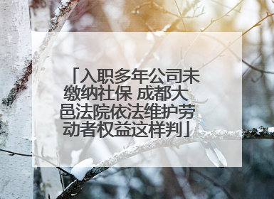 入职多年公司未缴纳社保 成都大邑法院依法维护劳动者权益这样判