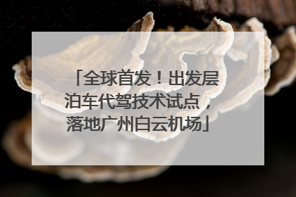 全球首发！出发层泊车代驾技术试点，落地广州白云机场