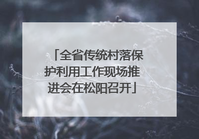 全省传统村落保护利用工作现场推进会在松阳召开