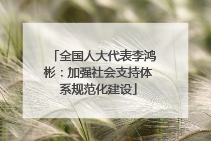 全国人大代表李鸿彬：加强社会支持体系规范化建设