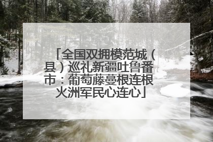 全国双拥模范城（县）巡礼新疆吐鲁番市：葡萄藤蔓根连根 火洲军民心连心
