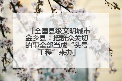 全国县级文明城市金乡县：把群众关切的事全部当成“头号工程”来办