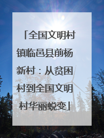 全国文明村镇临邑县前杨新村：从贫困村到全国文明村华丽蜕变