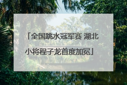 全国跳水冠军赛 湖北小将程子龙首度加冕