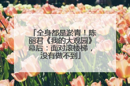 全身都是淤青！陈丽君《我的大观园》幕后：面对滚楼梯，没有做不到