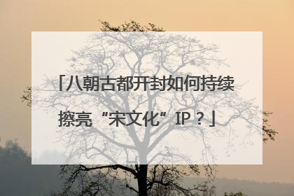 八朝古都开封如何持续擦亮“宋文化”IP？