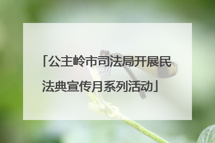 公主岭市司法局开展民法典宣传月系列活动