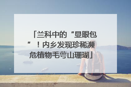 兰科中的“显眼包”！内乡发现珍稀濒危植物毛萼山珊瑚