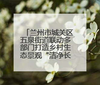 兰州市城关区五泉街道联动多部门打造乡村生态景观“洁净长廊”